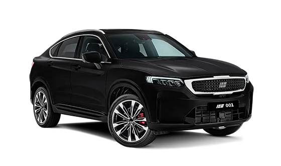 Knewstar 001 2.0 AT 4WD Luxury